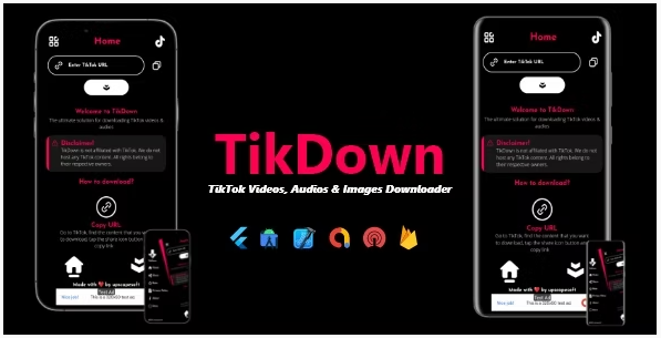 TikDown